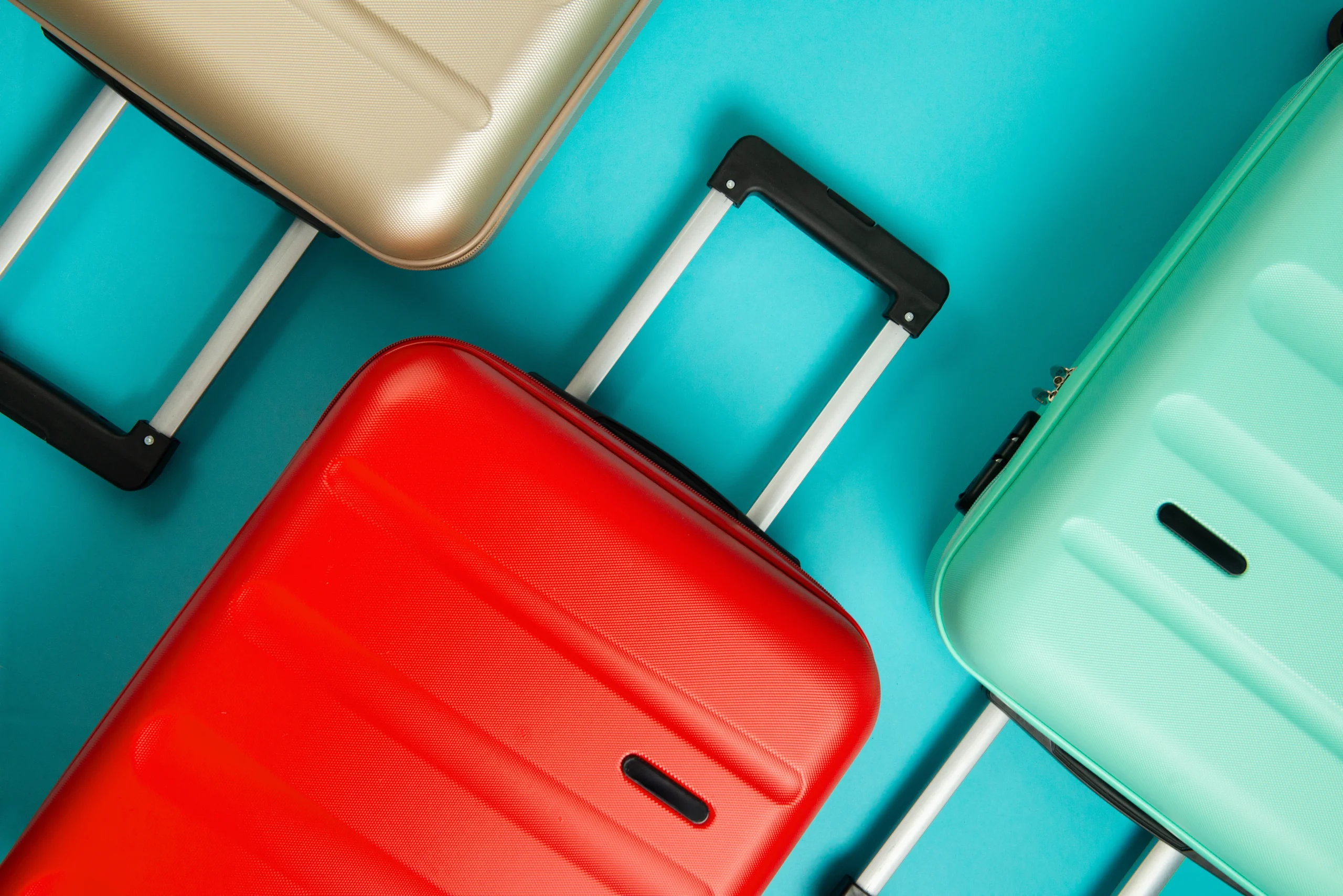 Are You Looking for an Ideal Travel Partner?